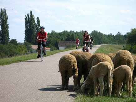 Radtour Ungarn